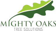 Cardiff Tree Surgeons